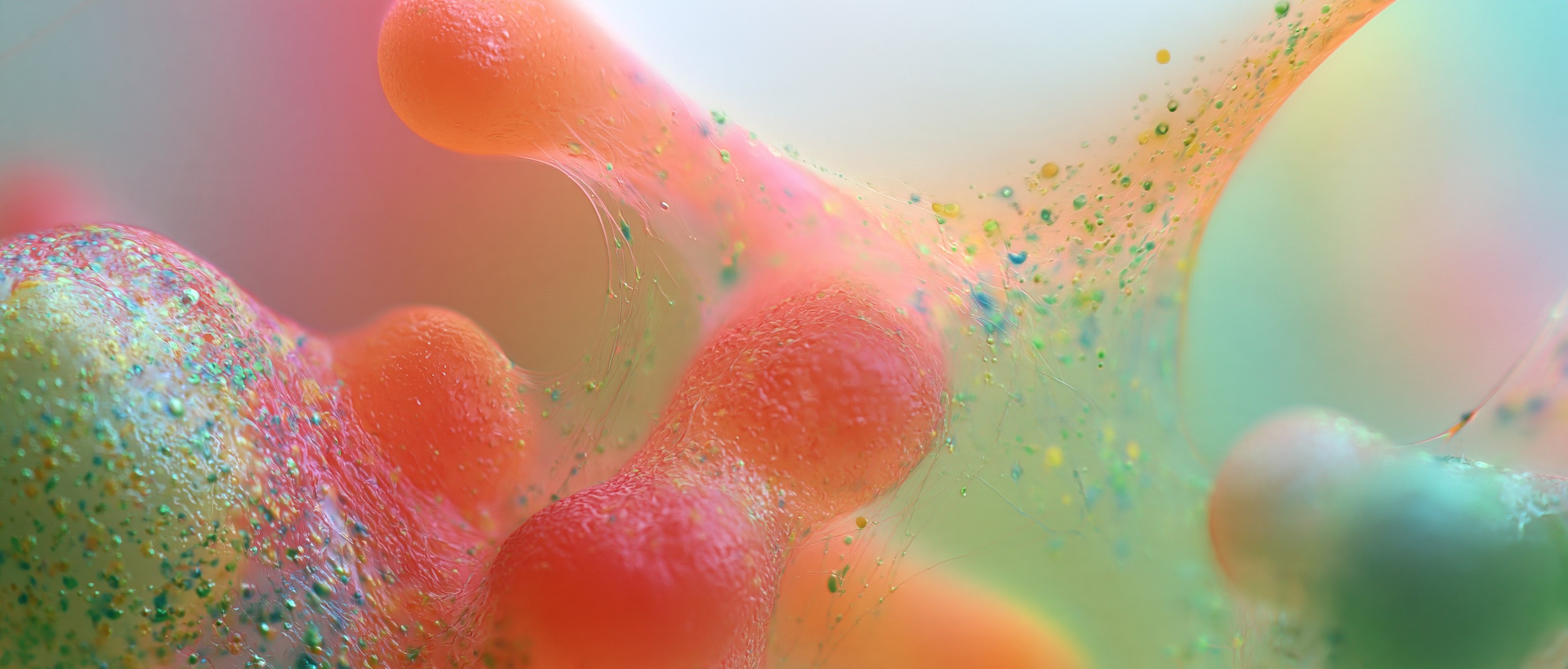 Coral droplets gathered beneath a pale, glowing surface